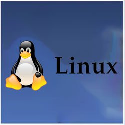 systeme-d-exploitation-linux